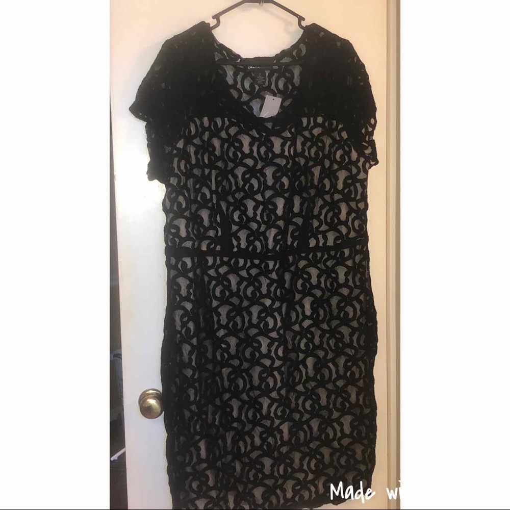 New Lane Bryant Dress
